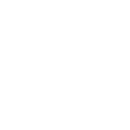 icoon Instagram